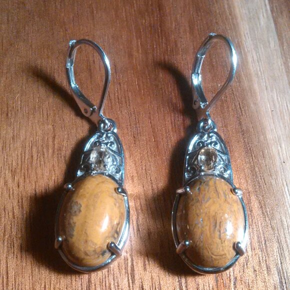 Script Stone and Brazilian Citrine Stainless Steel Lever Back Earrings - Picture 3 of 11